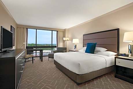 1 King Bed High Floor