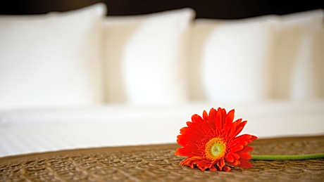 Studio Suite with King Bed