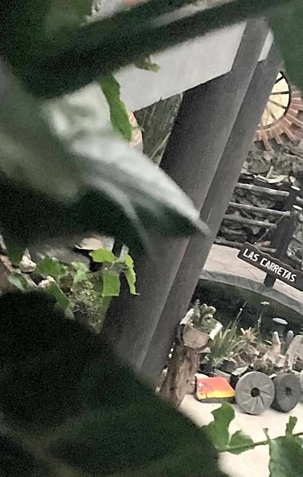 Hotel las carretas , spa y temazcal