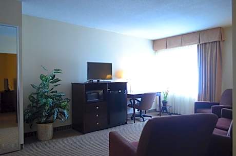 1 King Bed, Suite, Nonsmoking