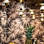 Hotel Greif
