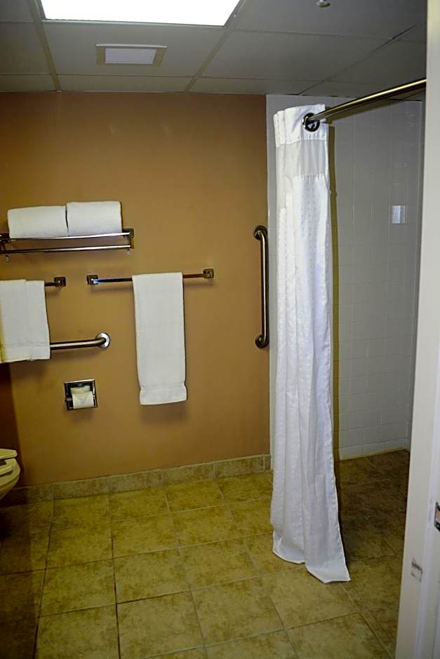 SureStay Plus Hotel By Best Western Roanoke Rapids