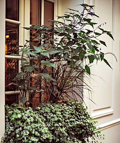 Maison Saintonge