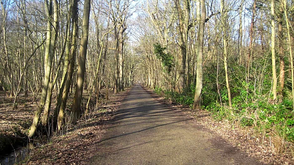 Hotel Restaurant Anno Nu