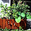 East of Love Homestay