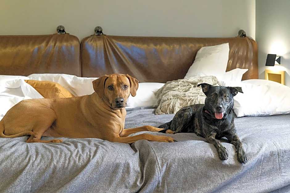 Moxy Memphis Downtown