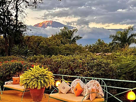 Pink Flamingo Boutique Hotel