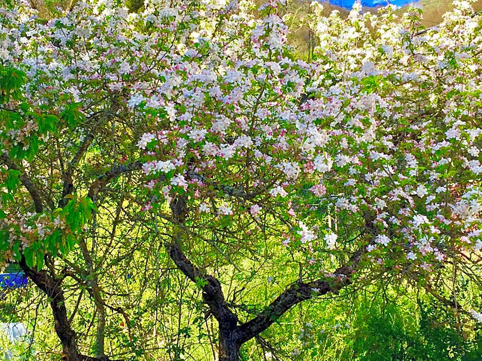 Hotel Rural Nova Ruta