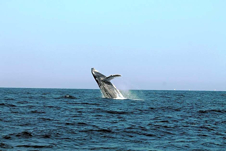 Aranwa Vichayito Beach Resort