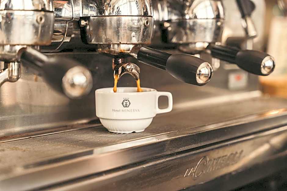 Hotel Minerva