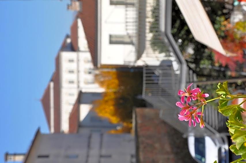 Già Sera BB Venaria