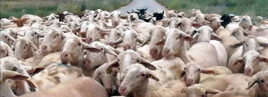 Casa Rural Los Gitanos