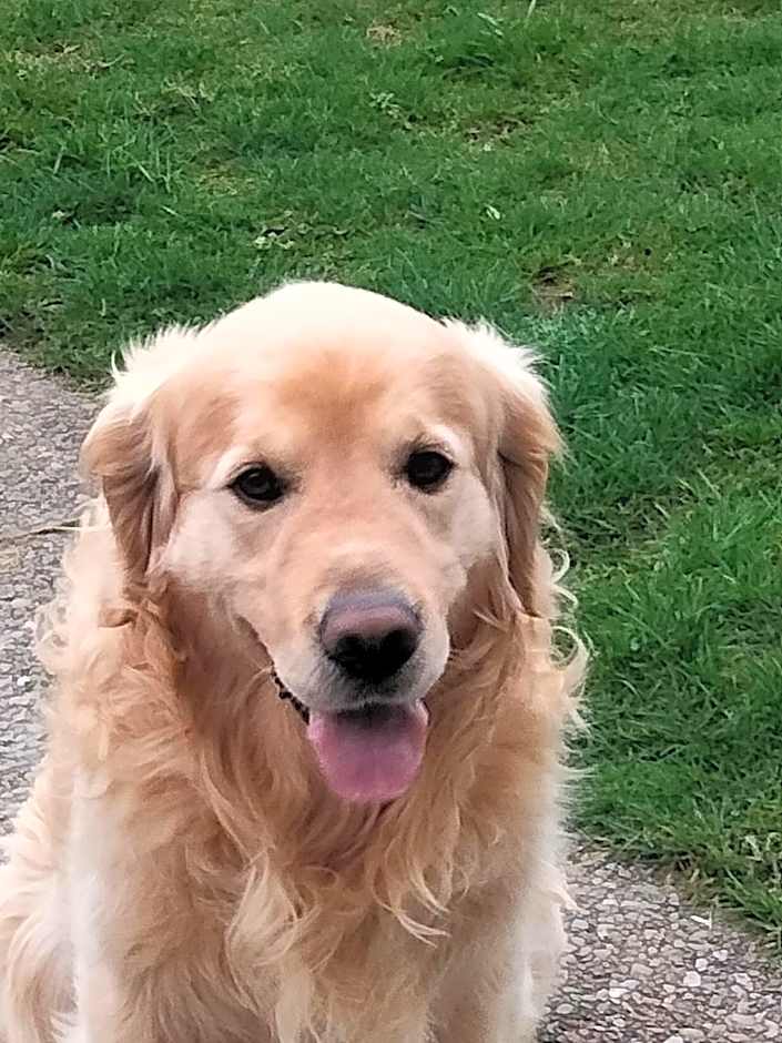 Larkfield House B&B, Ballycasheen Kerry V93 WD51