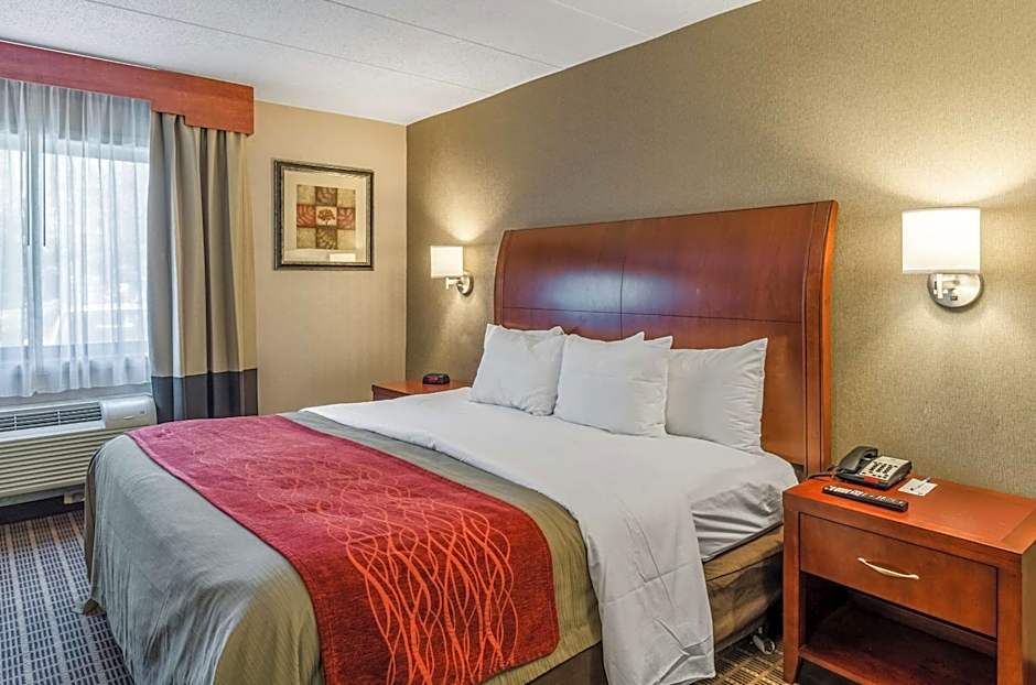 Comfort Inn & Suites West Springfield
