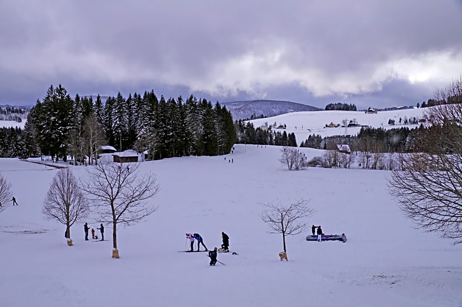 Hotel Kreuz Höhengasthof