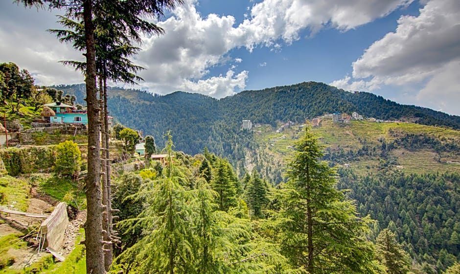 Treebo Down Town, Dalhousie