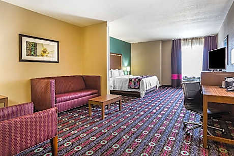 1 King Bed, Suite, Nonsmoking