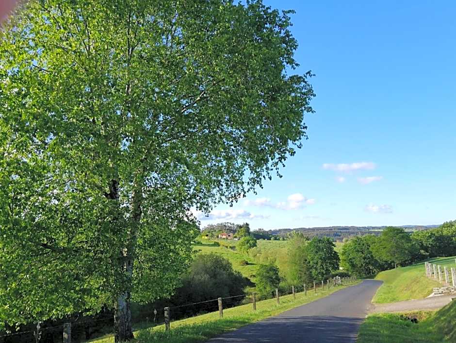 Lar da Mota Boutique Hotel