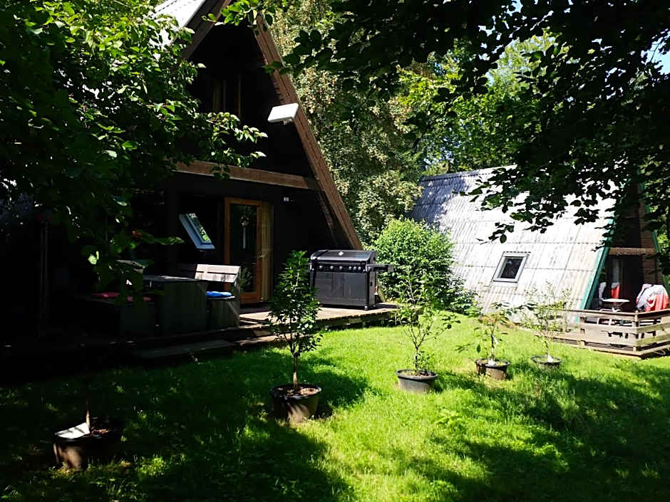 Haus 114 - Nurdachhaus -