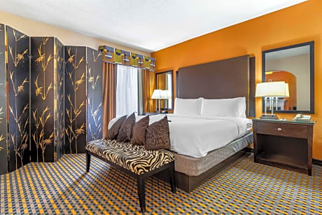1 King Bed, Suite, Nonsmoking