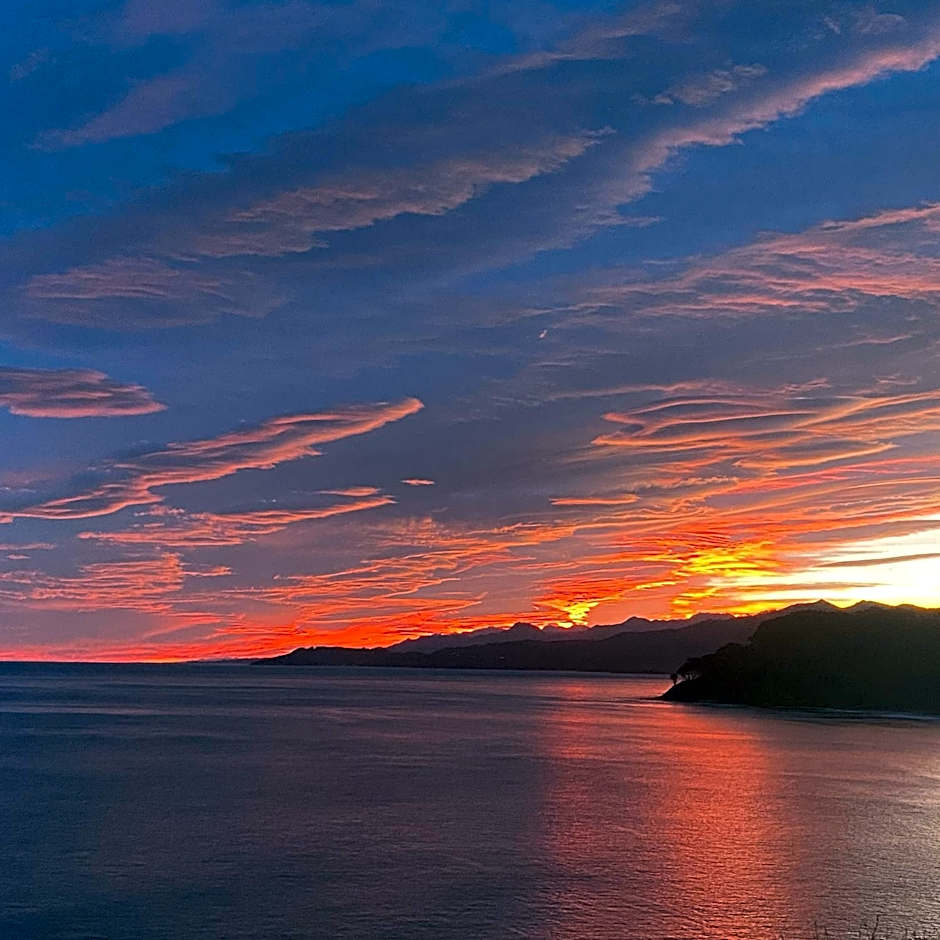 Olas y flores silvestres 2