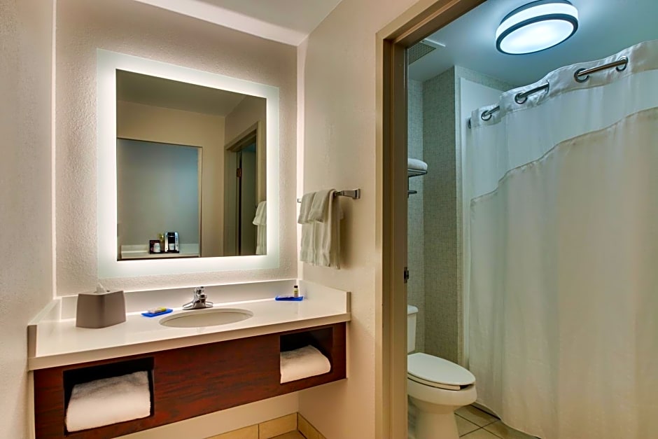 Holiday Inn Express Hotel & Suites - Atlanta/Emory University Area By IHG