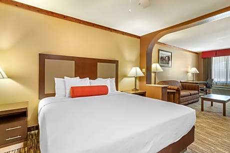 1 KING BED,NSMK,OVRSZD,46FLTV,SOFBED,MICRFG,HISPD,CONTINENTAL BREAKFAST