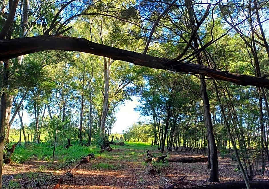Woodland Gardens Self-Catering & Pet-Friendly Lodge