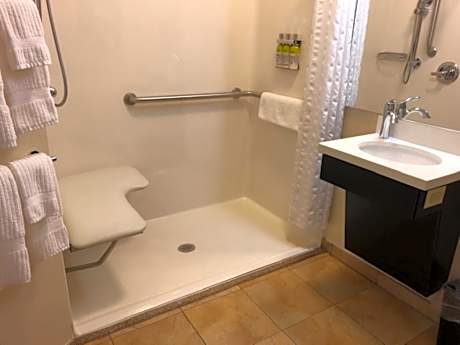 Queen Studio Suite with Roll In Shower - Mobility Accessible