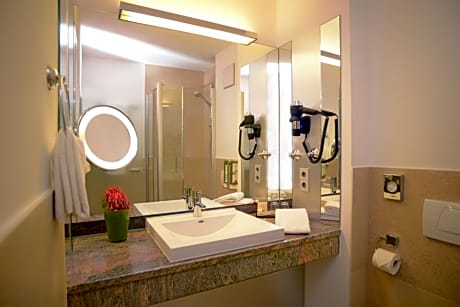 Business Double Room