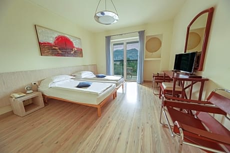 Standard room with balcony lake view