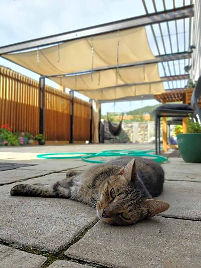 VIGEO lounge b&b coffee