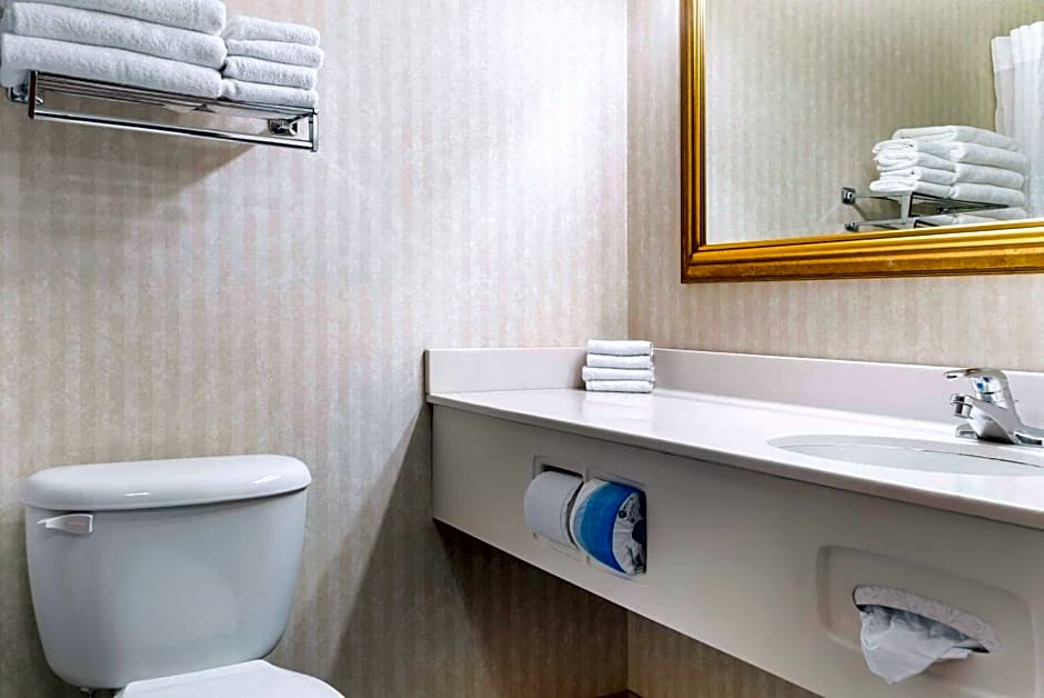 Quality Inn & Suites Manistique