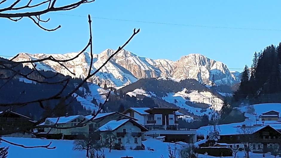 Alpen Apartments Zell am See