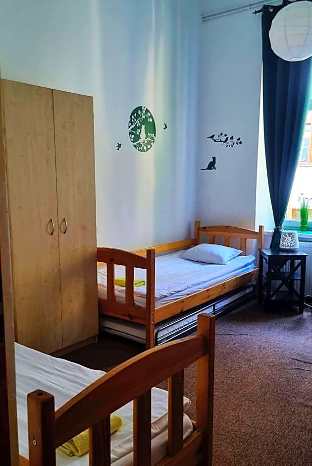 Green Cat Rooms
