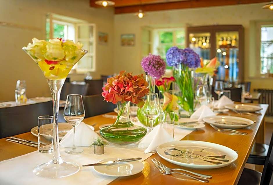 Bellevue hotel Karlov