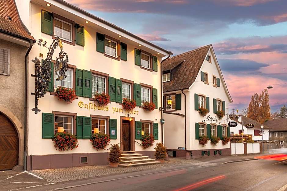 Hotel Adler - Weil am Rhein