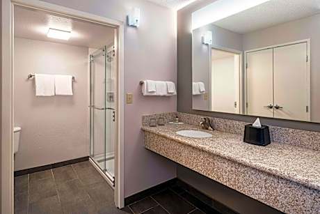 1 Bedroom Executive Suite, 1 King, Sofa bed