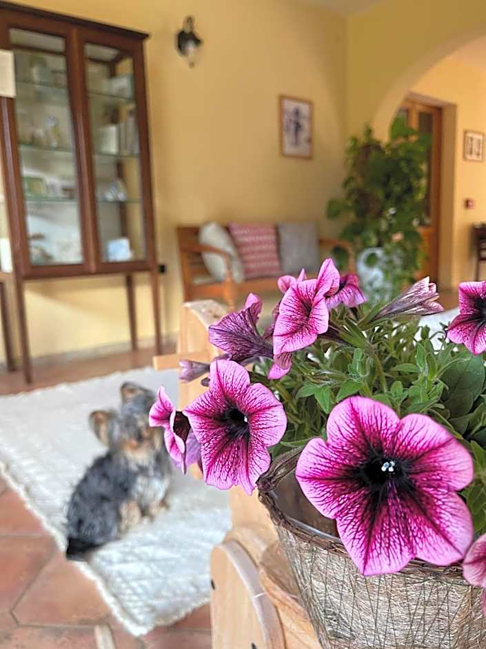 S'Arenada Hotel - Adults Only