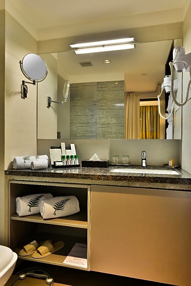 The Fern Residency, Vadodara