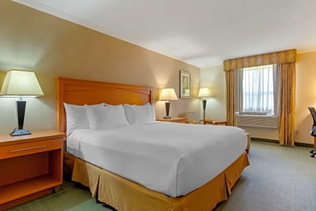 1 King Bed, Non-Smoking, Chair, Work Desk, Wi-Fi, Microwave And Refrigerator, Full Breakfast
