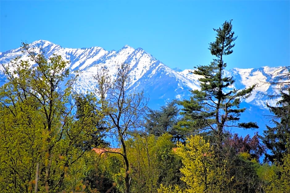 Il casotto nelle Langhe