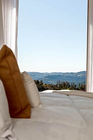 Suite with Terrace