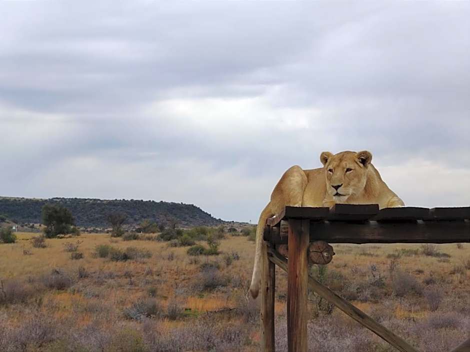 Weltevreden Game Lodge