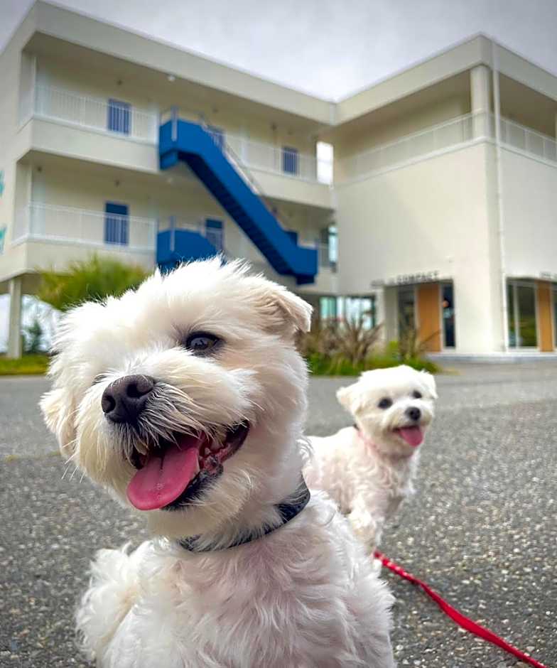 KAMOME SLOW HOTEL the COMPACT