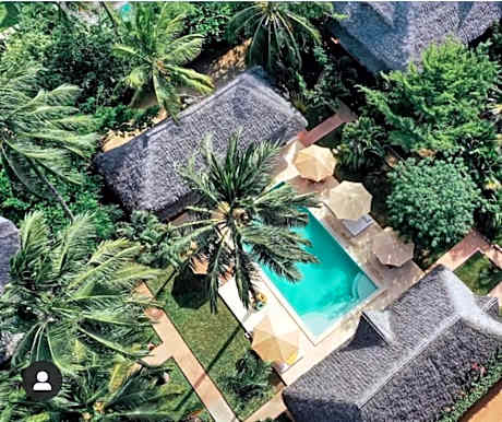 Palm Garden ECO Boutique Hotel No Kids under 12