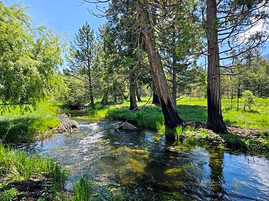 The Black Forest Lodge
