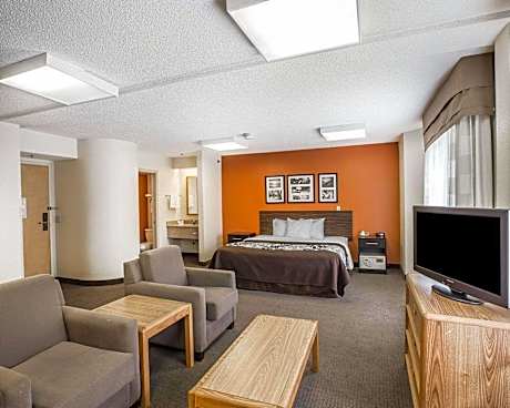 1 King Bed Suite Nonsmoking