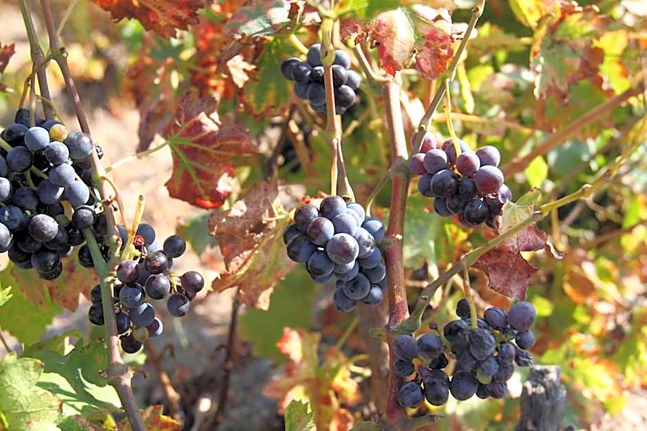 Le Vieux Moulin de Jouques