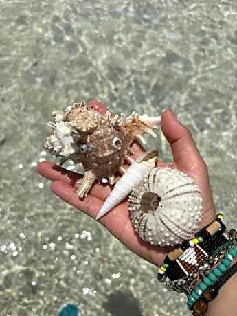 Gadea Boutique Hotel& Gadea Garden Italian Restaurant
